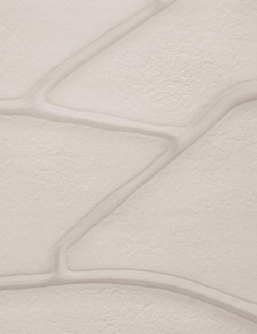 Обои Wall & Deco Essential Wallpaper Collection 2023 23120EWC