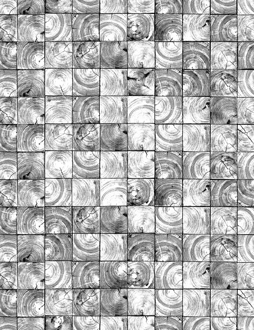 Панно и фотообои Rebel Walls No 7 Curious R14241