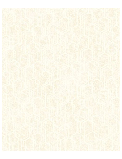 Обои Estro Patina W161102