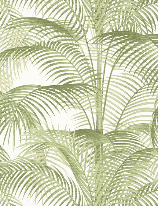 Обои Thibaut Palm Grove T13939