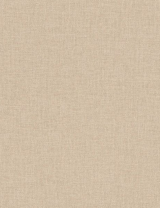 Обои Rasch Etro 515756