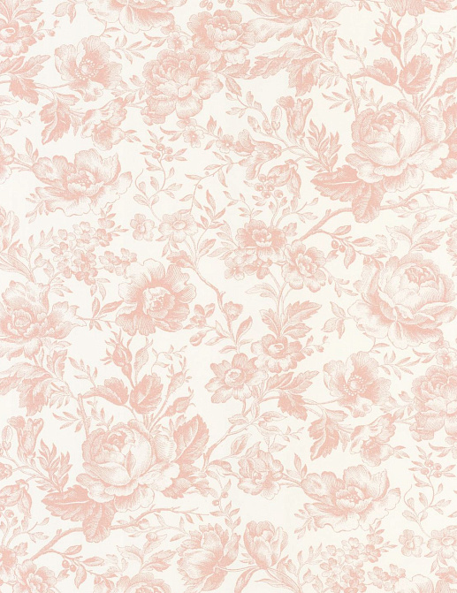 Обои Casadeco Les Belles Toiles de Jouy 2 BTJD201724101