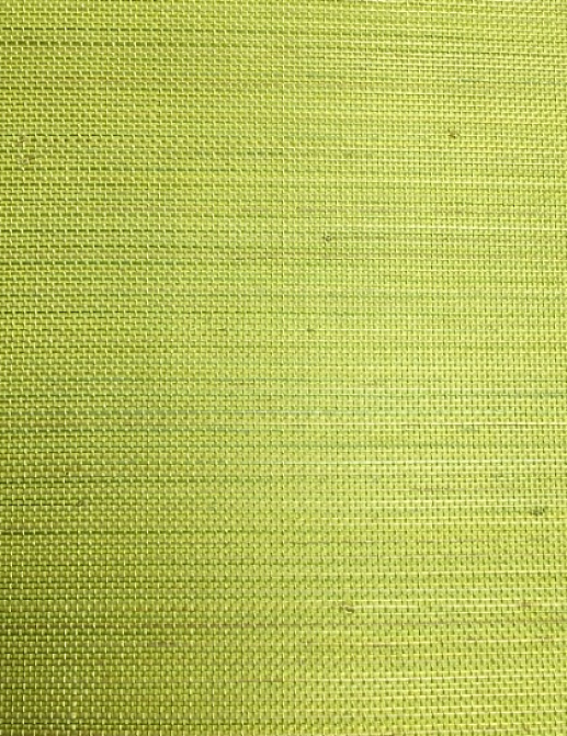 Обои Giardini Great Dandy CRAbc 003