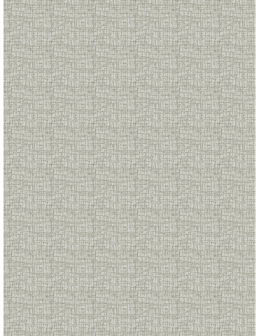 Ткань Fabricut Chromatics Vol.XXVI Ecru Otani/Silver