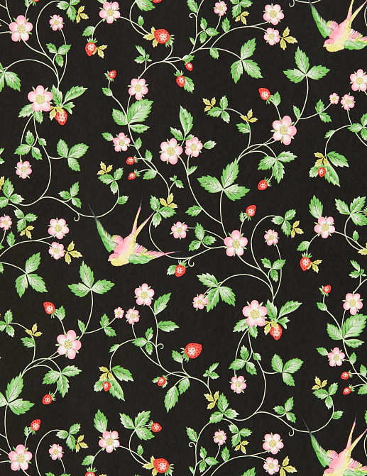 Обои Clarke & Clarke Botanical Wonders W0135/04