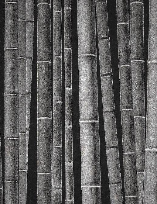 Панно и фотообои Italreflexes Macro Bamboo-011/Slate