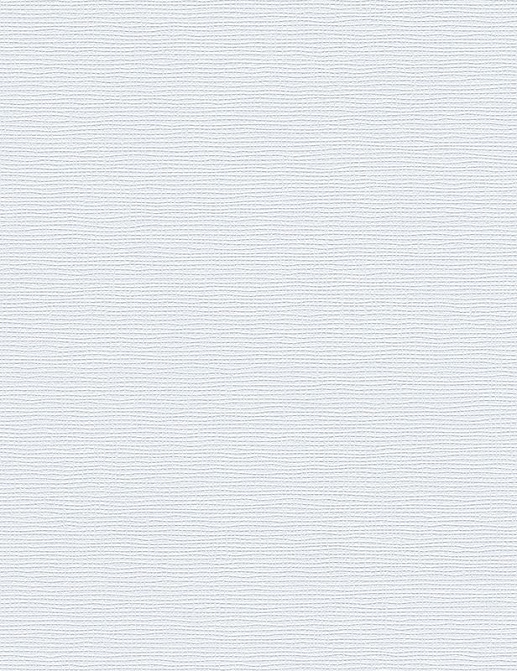Обои A. S. Creation Hula Hoop 2529-13