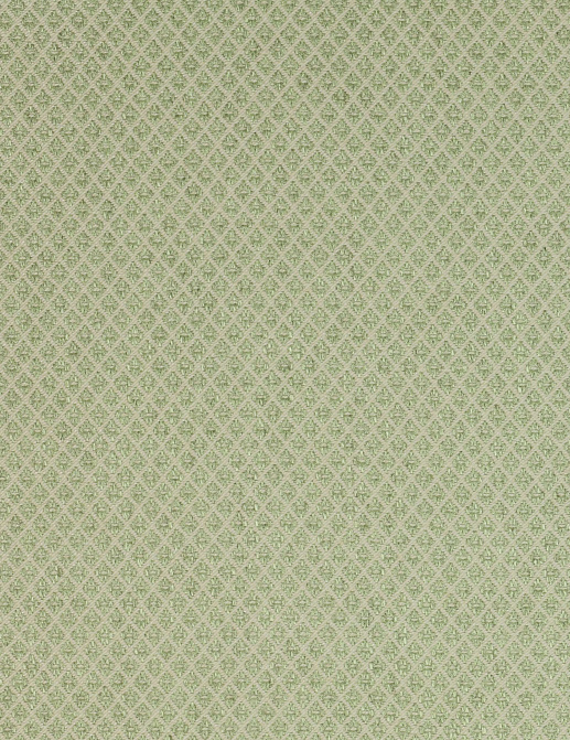 Ткань Colefax and Fowler Amersham F3624/06