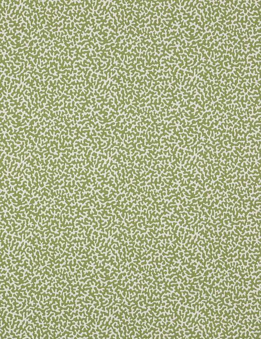 Ткань Manuel Canovas Agathe M4091/05