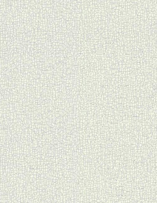 Обои York Candice Olson - Terrain COD0533N