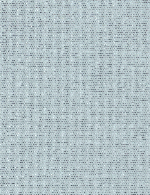 Обои Phillip Jeffries Performance Vinyl 8909