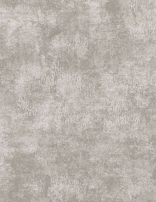 Обои Villa Nova Serene wallcoverings W555/01