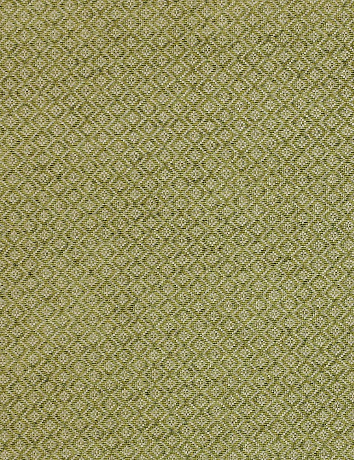 Ткань Colefax and Fowler Romilly F4222-03