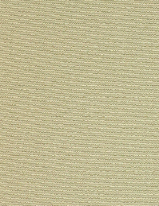 Ткань Manuel Canovas Hansa 04930/05