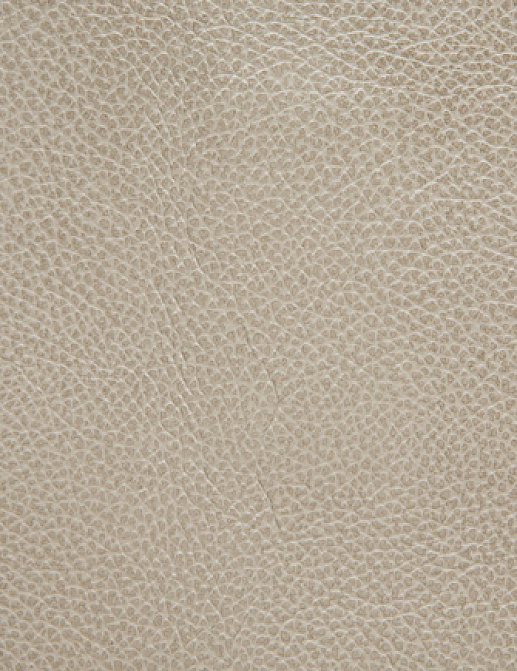 Ткань Holly Hunt Holly Hunt Leather 6013/02
