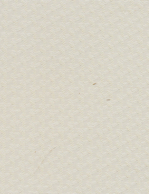 Обои Agena Urban Chic 65003