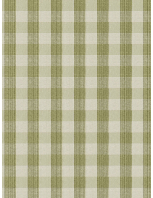 Ткань Stroheim Charles Faudree Biron Strie Check Biron strie check/Celery