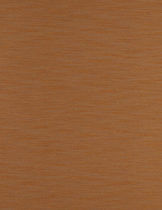 Обои Zoffany Akaishi 312490