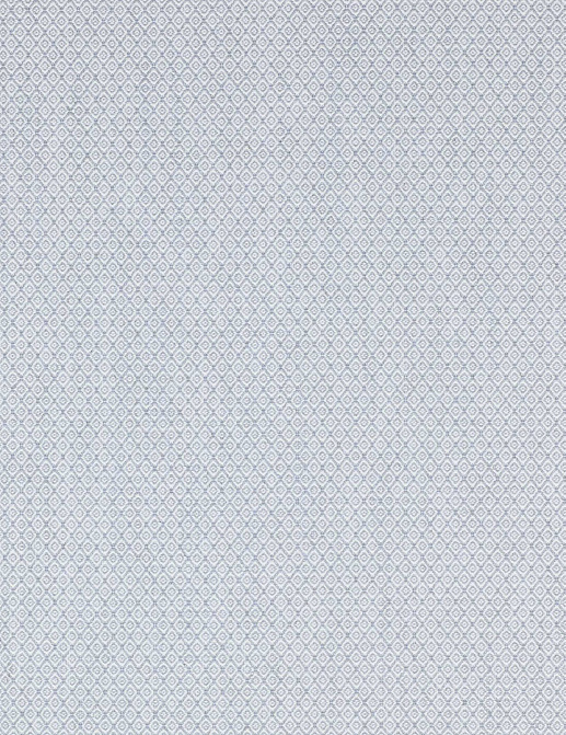 Ткань Colefax and Fowler Colour Library Old Blue F3926/02