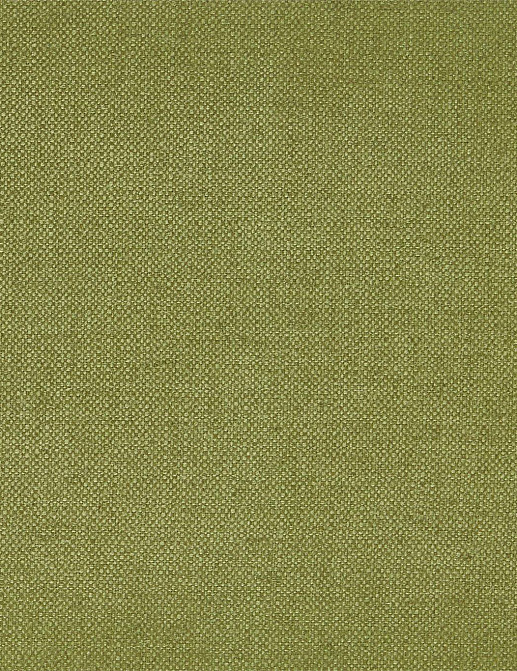 Ткань Zoffany Colours 333172