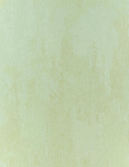 Обои Designers Guild Naturally III P555/04