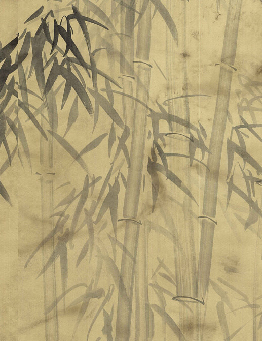 Панно и фотообои Paul Montgomery Studio Complete Collection Bamboo Forest Antiqued