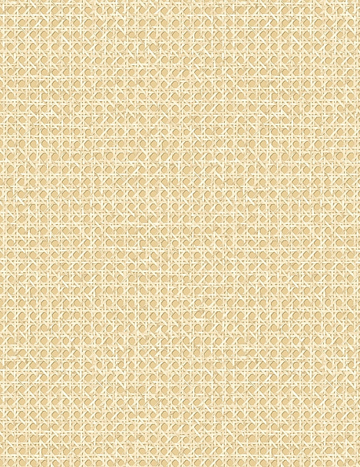Обои Seabrook Japandi Style JP11203