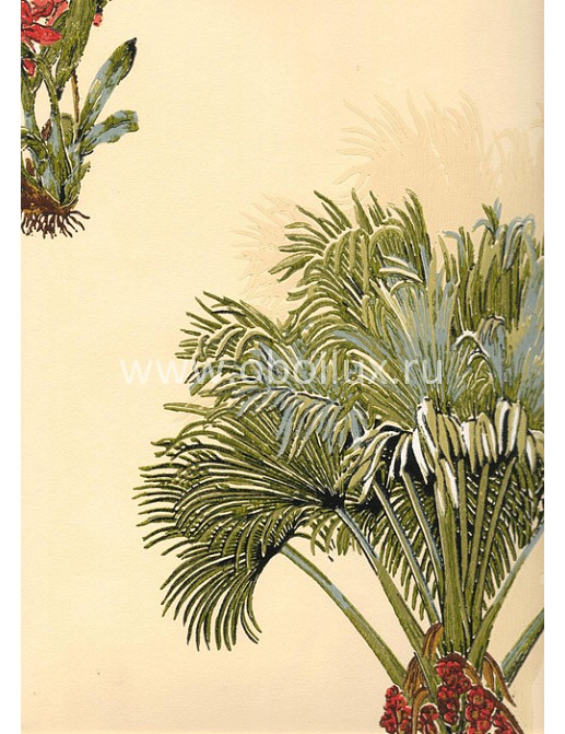 Обои York Antonina Vella - Botanica VB6756
