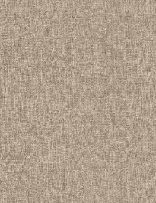 Обои Arte Indienne 18341