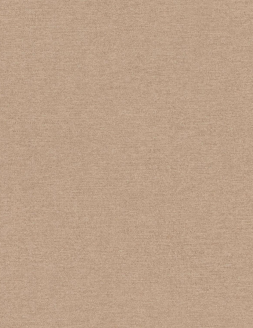 Обои Rasch Cosy Living 600339