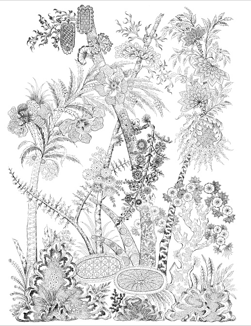 Панно и фотообои Bien Fait Papier Peint Flora/Original