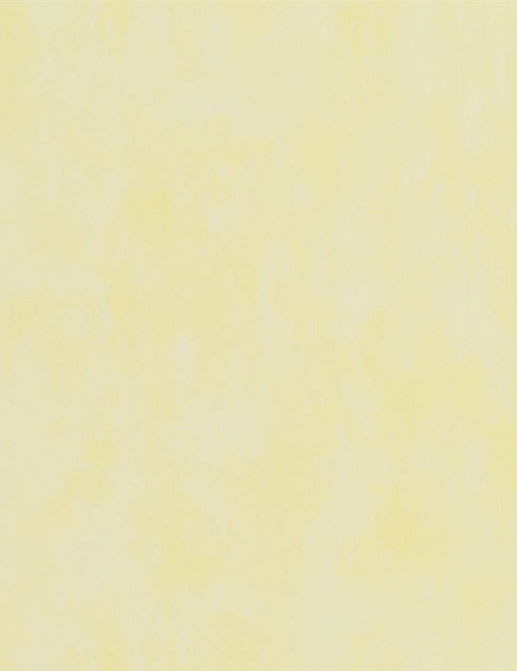 Обои Designers Guild Parchment PDG719/32