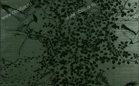 Обои Arte Wild 63012