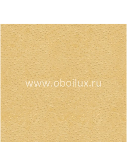 Обои York Ronald Redding - Designer Backgrounds II DS1117