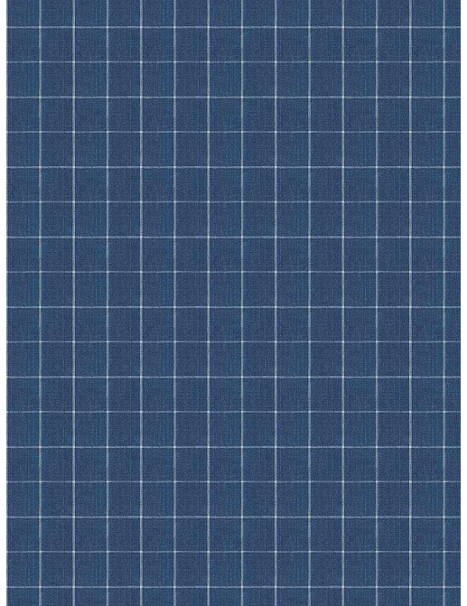 Ткань Fabricut Checks&Stripes Avalon Lane SweetGrass/Cobalt