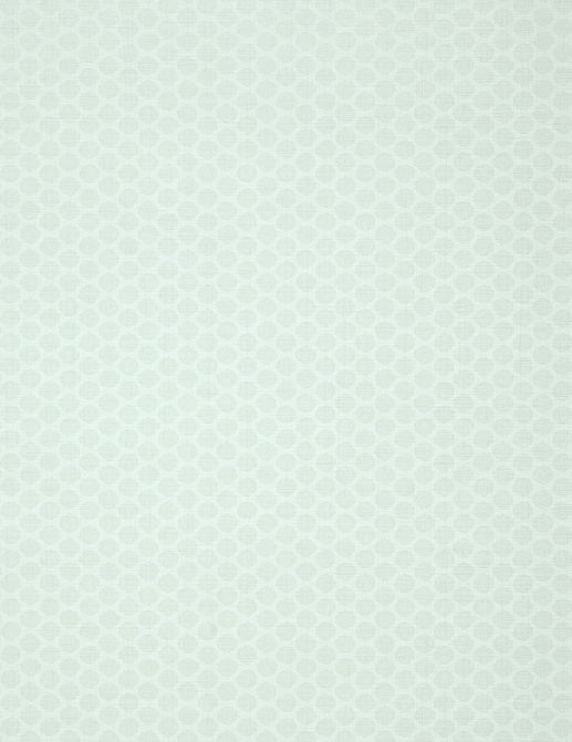 Обои Thibaut Geometric Resource II T11056