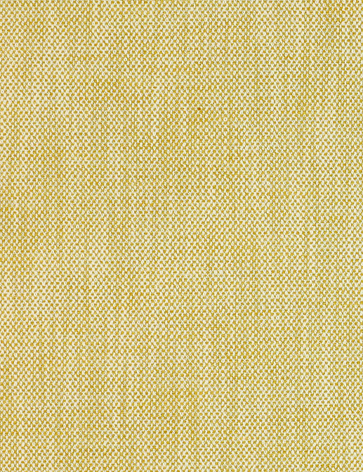 Ткань Manuel Canovas Sarla 04929/10