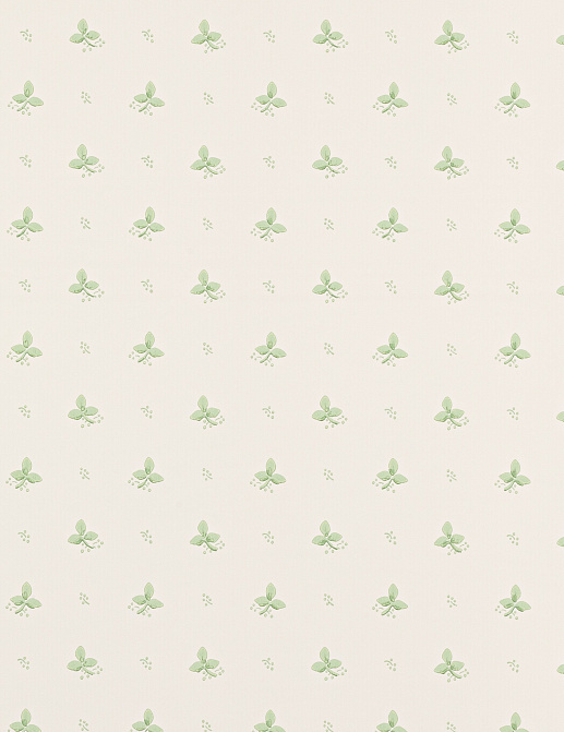 Обои Colefax and Fowler Small Design Wallpapers II 07406/10