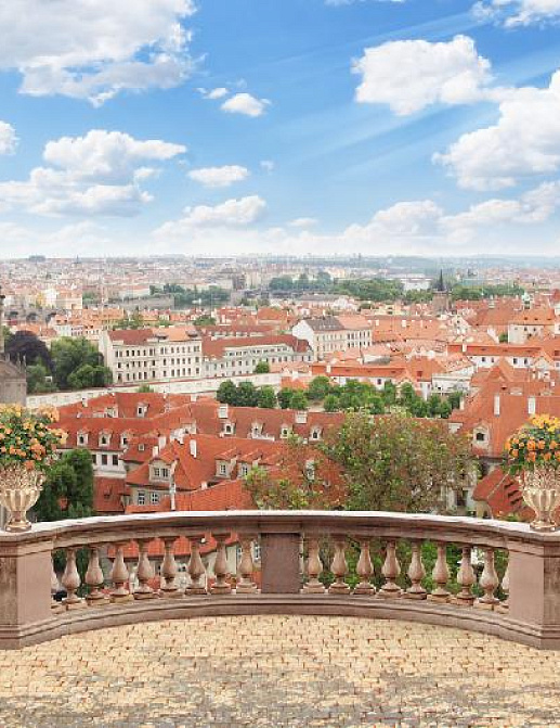 Панно и фотообои Affresco Фрески и фотообои 6284