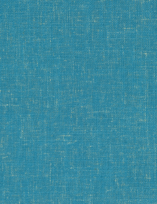Ткань Designers Guild Panaro F1869/08