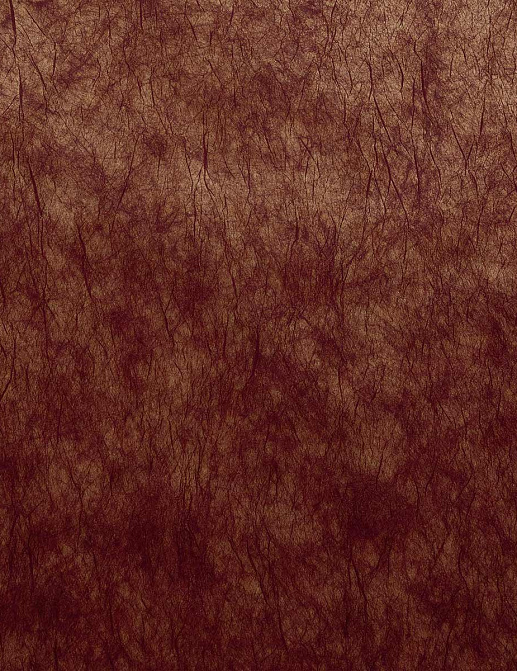 Обои Casamance Impulsion 71880929