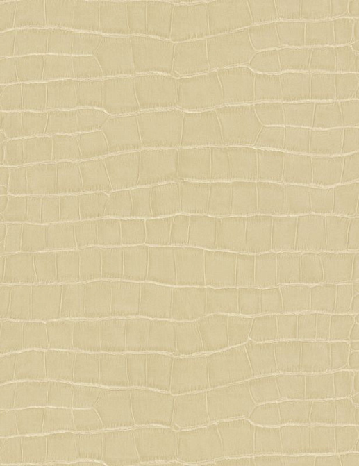Обои A. S. Creation Dekora Natur VI 6651-19