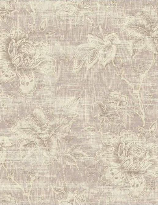 Обои Wallquest Casafina DE20709