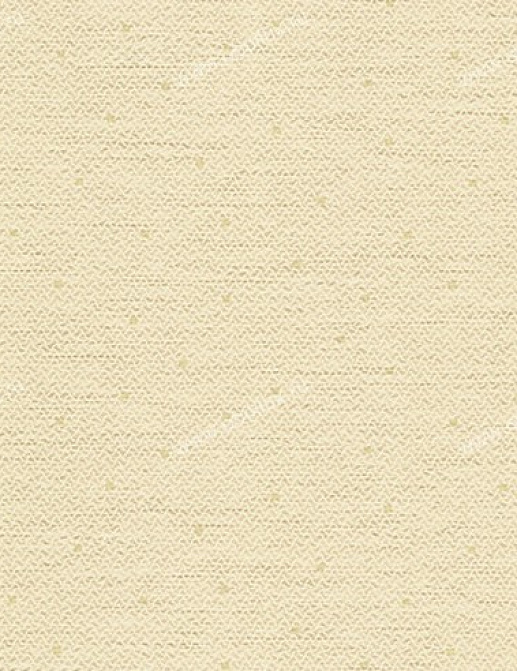 Обои York Carey Lind - Organic Finishes ZV6899W