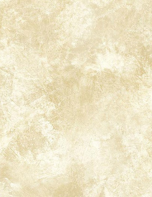 Обои Chesapeake Natural Living NL58293