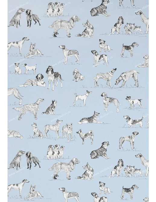 Обои Thibaut Menswear Resource T1040
