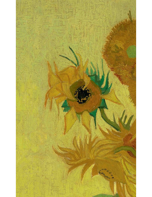 Панно и фотообои BN International Van Gogh 2 200329