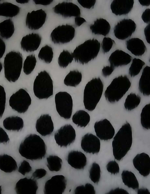 Ткань Today Interiors Wild Black WF8132
