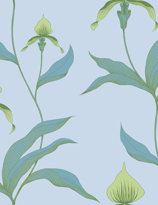 Обои Cole & Son New Contemporary 66/4029