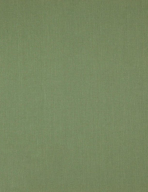 Ткань Daylight Canvas Canvas/Basil